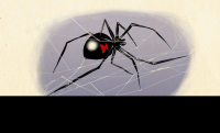 《荒野大镖客2》黑寡妇蜘蛛卡片在哪里获得？