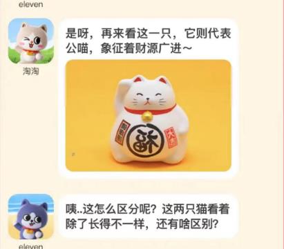 这只招财猫代表着什么含义