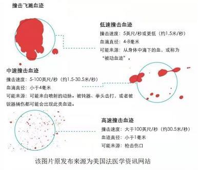 犯罪大师血迹勘察篇答案