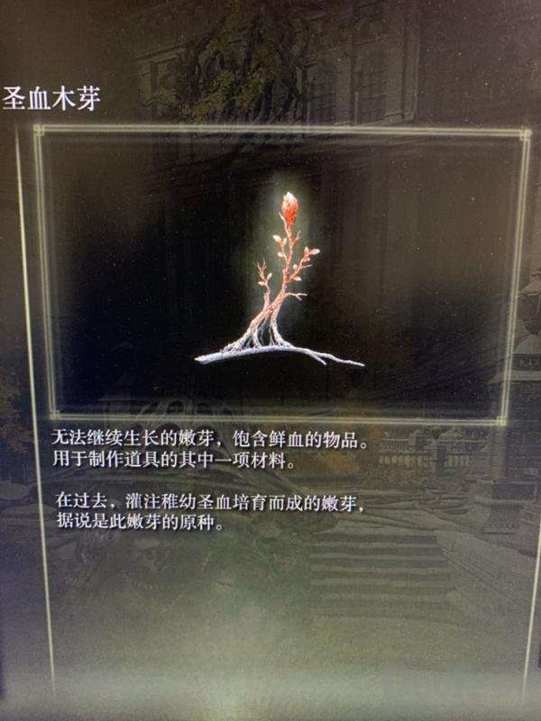 艾尔登法环碎片战争剧情分析