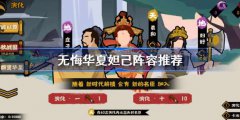 无悔华夏妲己阵容精选