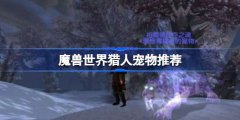 魔兽世界怀旧服wlk猎人宠物选什么