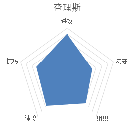 潮人篮球查里斯