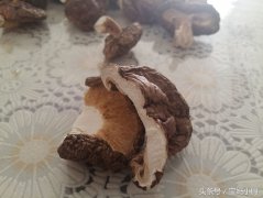 鲜香菇如何保存时间长[新鲜香菇可以冷冻保存吗]