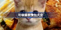 可颂猫表情包有哪些