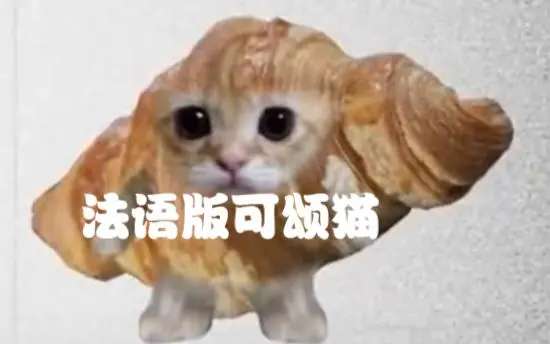 可颂猫表情包有哪些