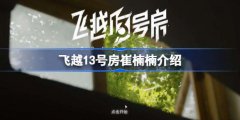 飞越13号房崔楠楠是谁