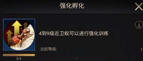 小小蚁国中期进化类型分析精选2