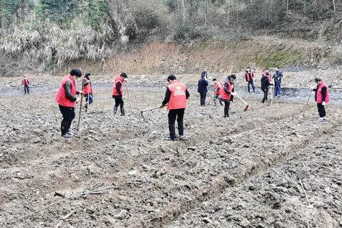 山谷建设求生游戏攻略